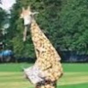 Meet your Posher, Pretzel